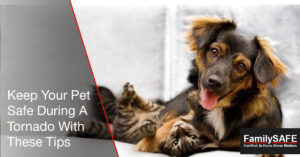Learn how to keep pets safe with a custom tornado shelter