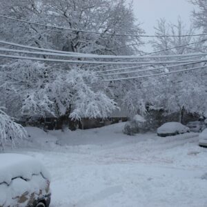 Neighborhood covered in snow and ice