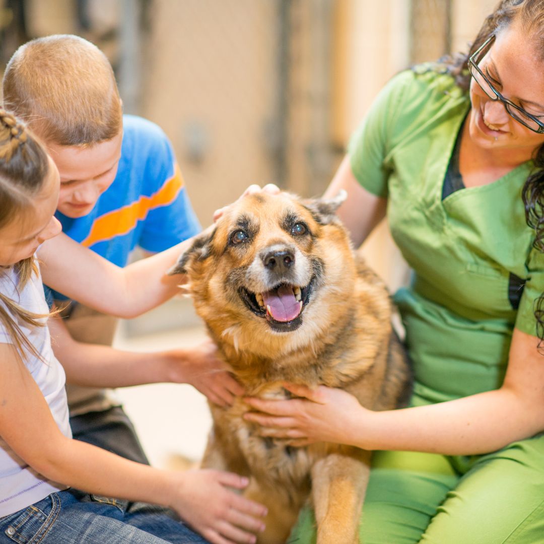 Sheltering with Family Pet