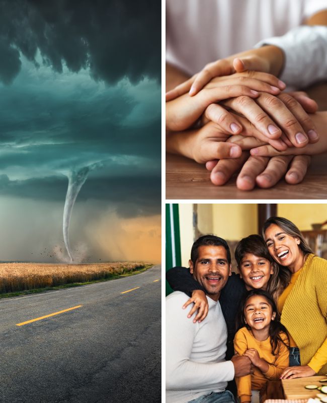 Copy of Doors & Screen Doors big 5050 image