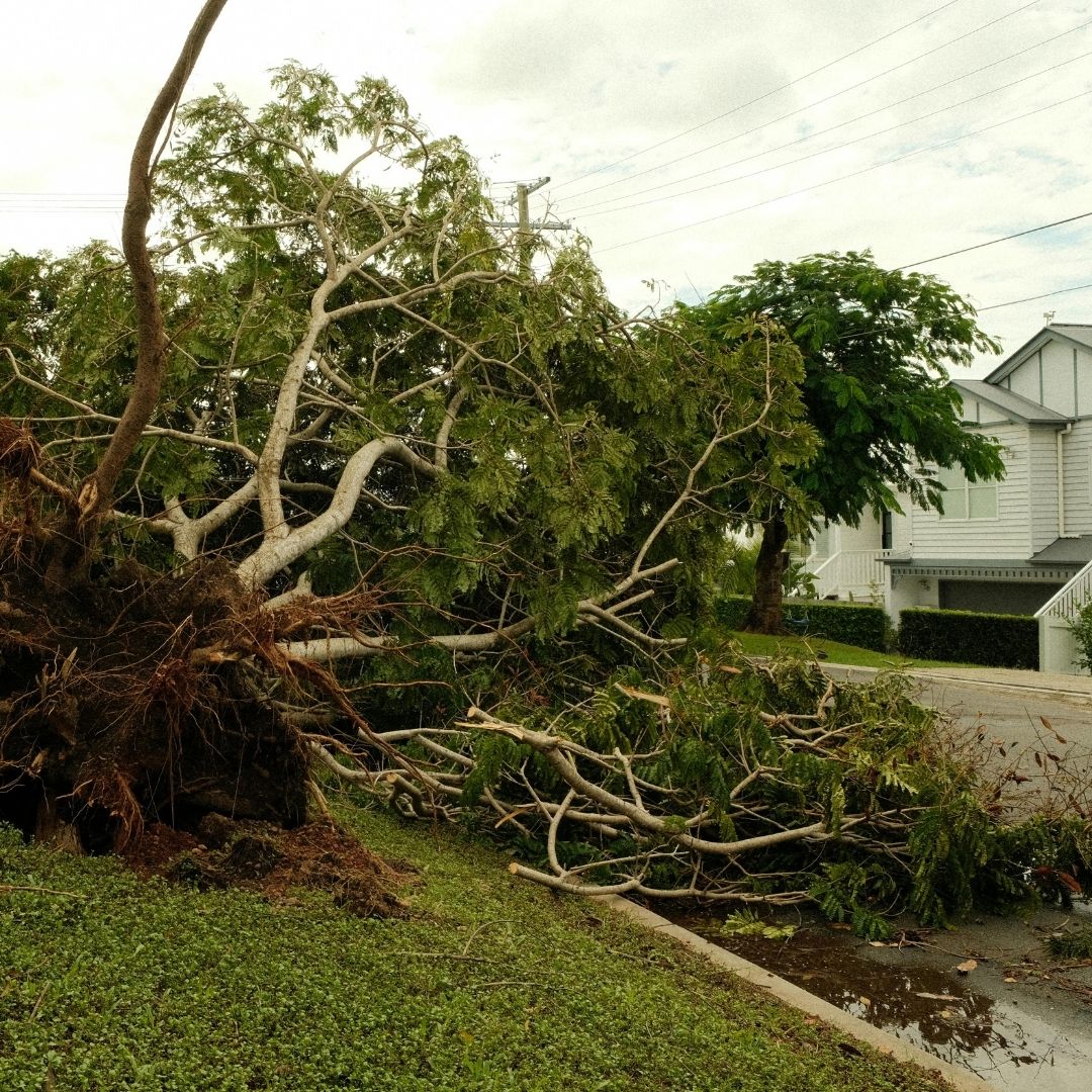 aftermath of storm