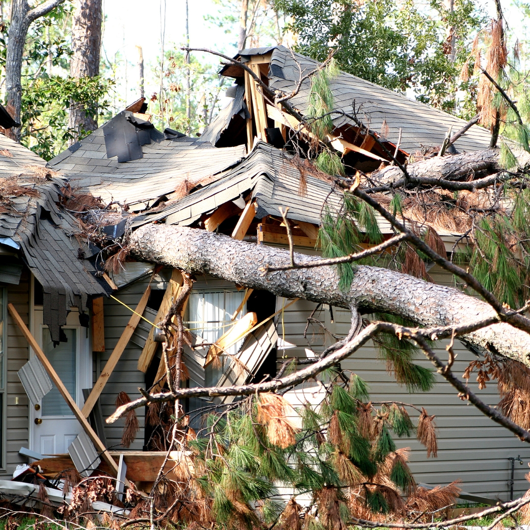 hurricane damage