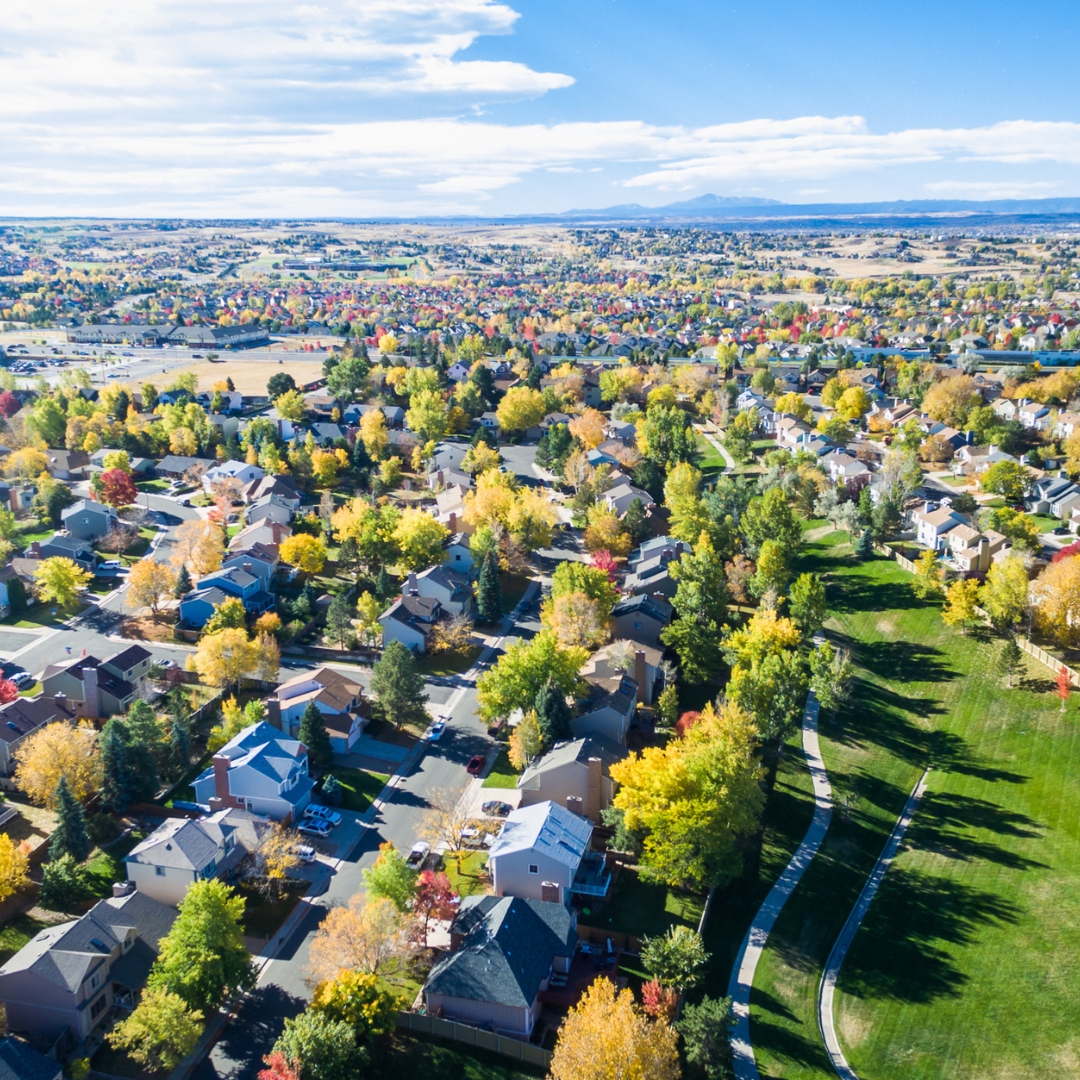 overview of a neighborhood