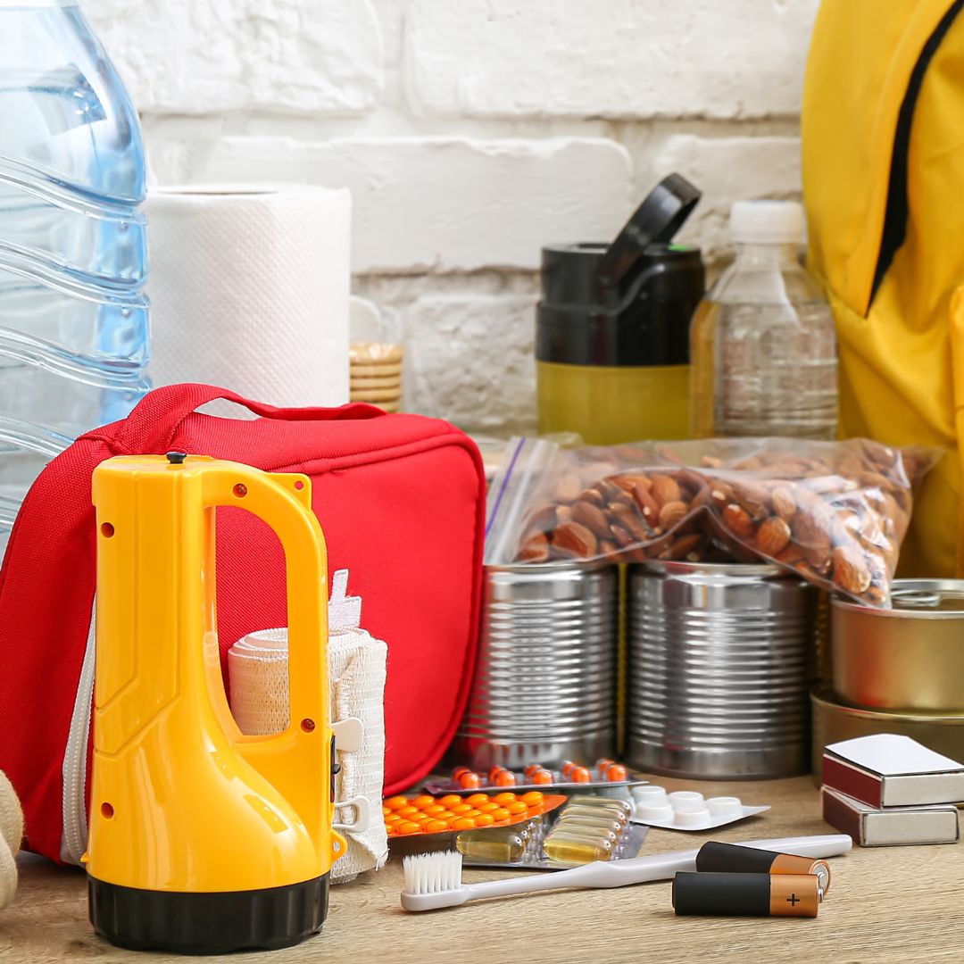 emergency supplies including canned foods, pet food, water, flashlights, and more