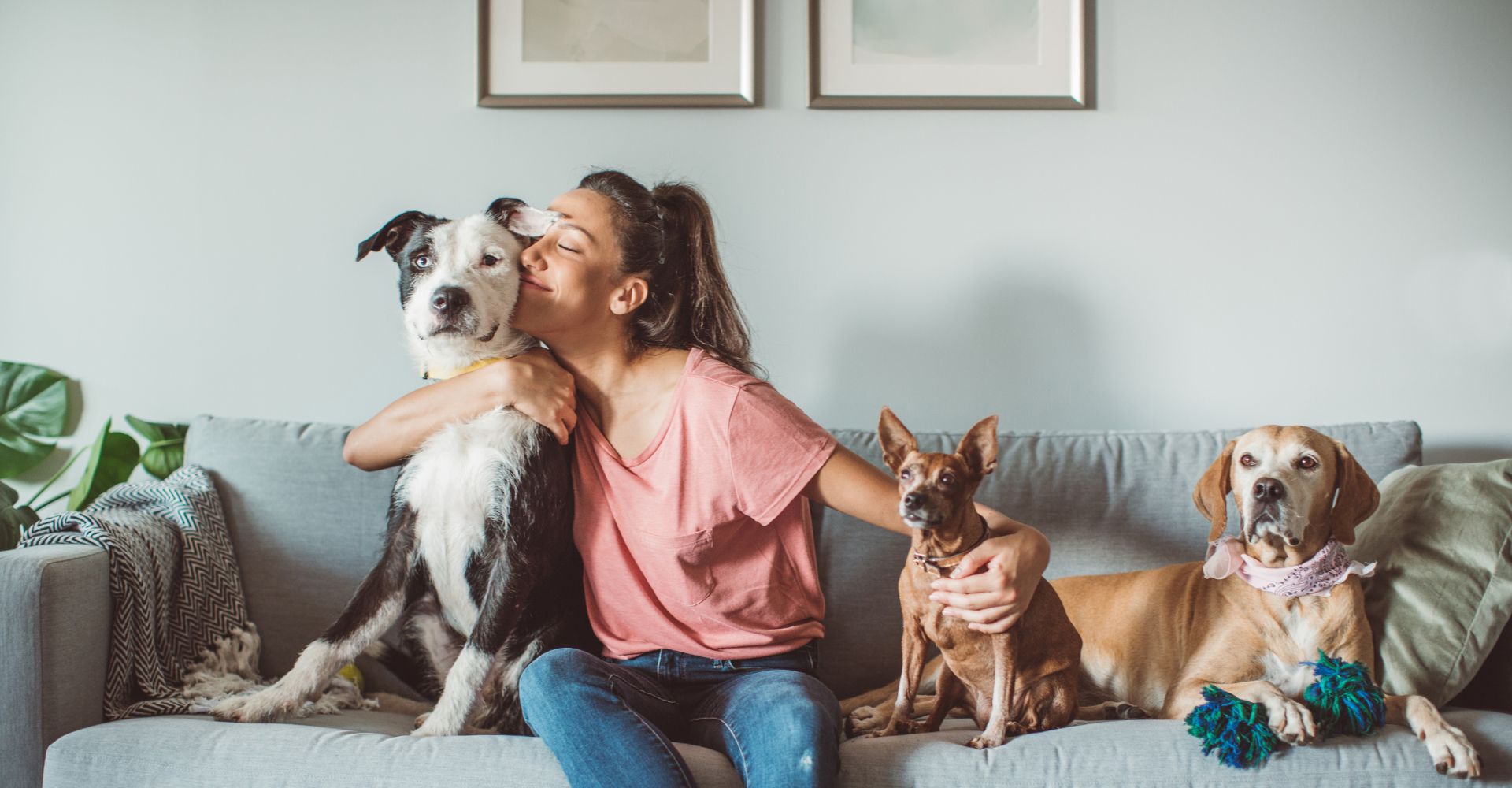Hero Ways to Keep Your Pet Safe During A Tornado With FamilySAFE in DFW
