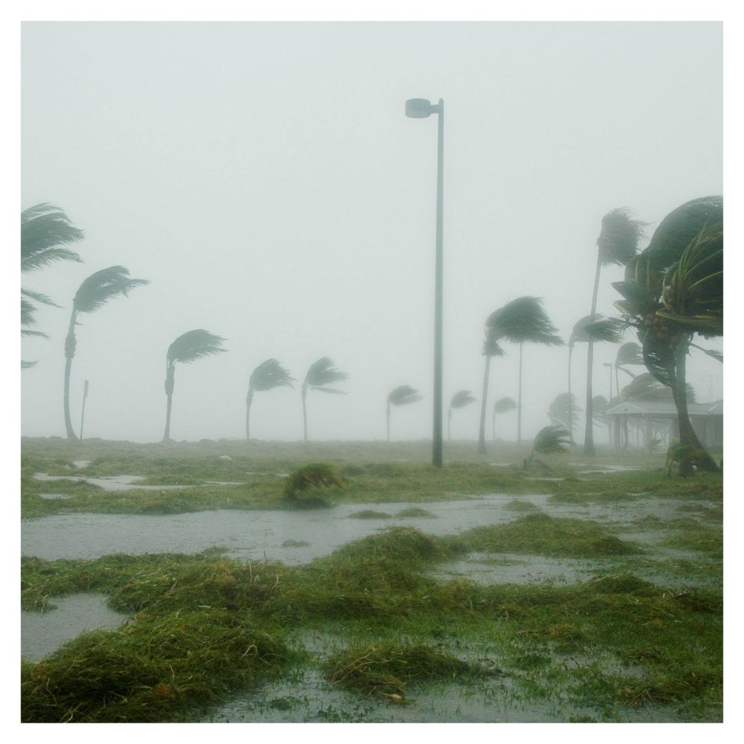 Severe winds