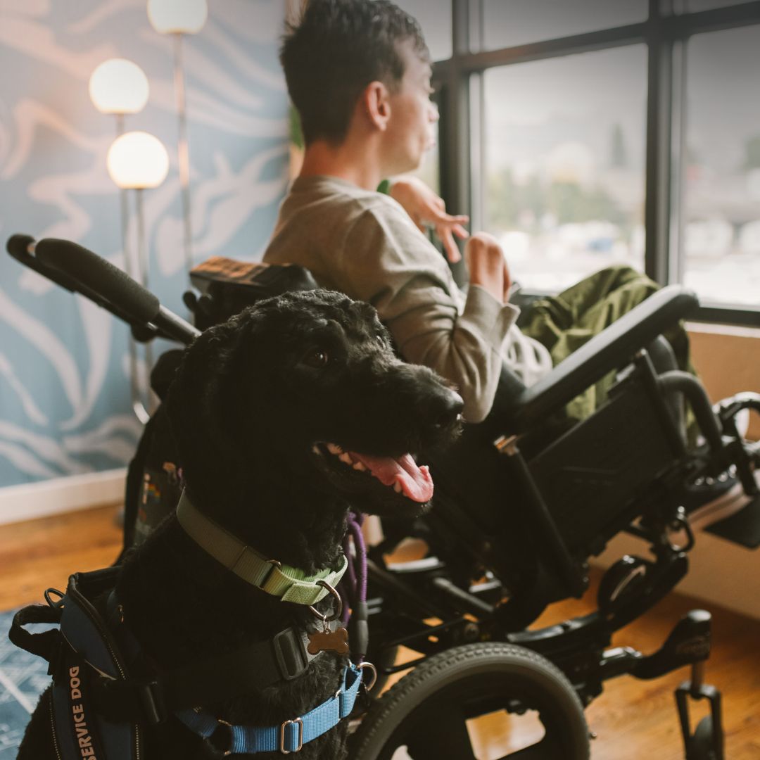 disabled man with dog near window